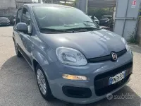 Usata Fiat Panda S 69 CV (50 kW) 2022 Vari colori Utilitaria