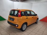 Usata Fiat Panda Easy 69 CV (50 kW) 2019 Arancione Utilitaria