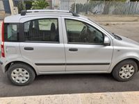 usata Fiat Panda Panda 1.2 Active