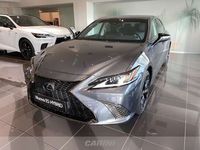 usata Lexus ES300 300h 2.5 design cvt