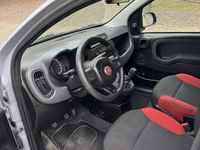 Usata Fiat Panda Pop 69 CV (50 kW) 2019 Grigio Utilitaria