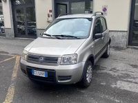 Usata Fiat Panda 4x4 Climbing 60 CV (44 kW) 2005 Grigio Utilitaria