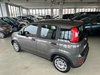 usata Fiat Panda 3ª serie 1.0 FireFly S&S Hybrid