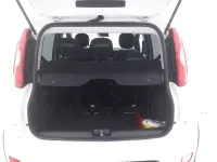 Usata Fiat Panda City Life 70 CV (51 kW) 2023 Biancobianco Utilitaria