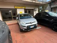 Usata Fiat Panda 4x4 S 95 CV (69 kW) 2019 Grigio Utilitaria