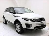 Usata Land Rover Range Rover evoque 150 CV (110 kW) 2016 Bianco SUV