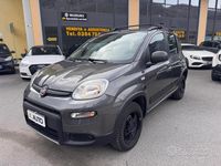Usata Fiat Panda 4x4 S 86 CV (63 kW) 2019 Grigio Utilitaria