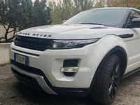 Usata Land Rover Range Rover evoque 190 CV (139 kW) 2011 Bianco SUV
