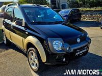 Usata Fiat Panda 4x4 Cross 69 CV (50 kW) 2007 Nero pastello Utilitaria