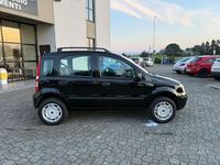 Usata Fiat Panda Dynamic 60 CV (44 kW) 2008 Nero Utilitaria