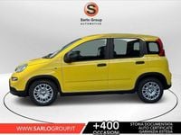 Usata Fiat Panda Red 70 CV (51 kW) 2024 Argento Utilitaria