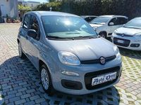 Usata Fiat Panda Easy 69 CV (50 kW) 2018 Grigio Berlina