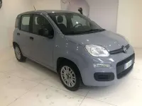 Usata Fiat Panda Easy 69 CV (50 kW) 2020 Grigio Utilitaria