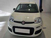 Nuova Fiat Panda Icon 69 CV (50 kW) 2025 Bianco Utilitaria