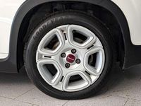 Usata Fiat Panda City Life 70 CV (51 kW) 2023 Bianco Berlina