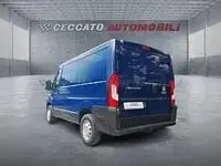 Usata Fiat Ducato 116 CV (85 kW) 2019 Blu Furgone