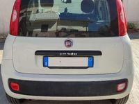 Usata Fiat Panda Connect 69 CV (50 kW) 2020 Utilitaria
