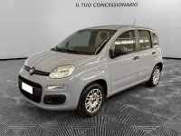 Usata Fiat Panda Lounge 69 CV (50 kW) 2020 Grigio Utilitaria