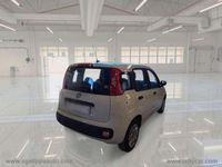 Usata Fiat Panda Easy 69 CV (50 kW) 2020 Bianco Utilitaria