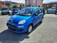 Nuova Fiat Panda Icon 65 CV (47 kW) 2026 Bluazzurro Utilitaria