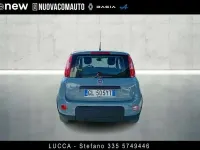Usata Fiat Panda S 69 CV (50 kW) 2023 Grigio Utilitaria