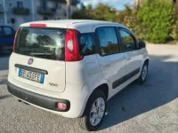 Usata Fiat Panda 85 CV (62 kW) 2012 Bianco Utilitaria