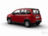 Nuova Fiat Panda S 69 CV (50 kW) 2025 Utilitaria