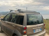Usata Fiat Panda Cross Cross 2006 Grigio Utilitaria