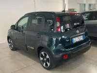 Usata Fiat Panda Cross Cross 65 CV (47 kW) 2025 Verde foresta Utilitaria