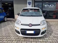 Usata Fiat Panda Easy 95 CV (69 kW) 2017 Bianco Utilitaria