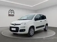 Usata Fiat Panda 4x4 Pop 86 CV (63 kW) 2020 Bianco Utilitaria