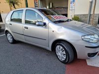 usata Fiat Punto 1.2 5 porte Actual my 03 usato