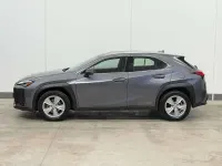 Usata Lexus UX 250h 145 CV (106 kW) 2022 Grigio SUV