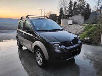 Usata Fiat Panda 4x4 Cross 95 CV (69 kW) 2006 Verde Utilitaria