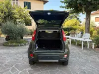 Usata Fiat Panda 4x4 85 CV (62 kW) 2018 Verde Utilitaria