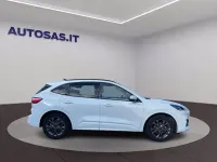 Usata Ford Kuga ST-Line 190 CV (139 kW) 2023 Bianco SUV