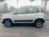 Usata Fiat Panda 4x4 95 CV (69 kW) 2018 Utilitaria