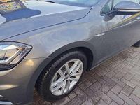 Usata VW Golf VII Business 131 CV (96 kW) 2019 Berlina