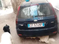 Usata Ford Fiesta 68 CV (50 kW) 2004 Bluazzurro Utilitaria