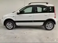 Usata Fiat Panda Climbing 60 CV (44 kW) 2010 Bianco Utilitaria