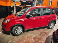 Usata Fiat Panda 71 CV (52 kW) 2024 Rosso Utilitaria
