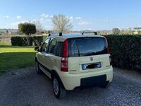 Usata Fiat Panda Cross 77 CV (56 kW) 2009 Utilitaria