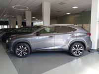 Usata Lexus NX300h Sport Line 197 CV (144 kW) 2019 Grigio SUV
