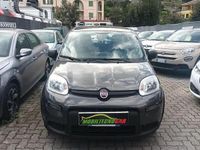 usata Fiat Panda Panda 1.0 FireFly S&S Hybrid