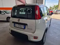 Usata Fiat Panda Cross Cross 69 CV (50 kW) 2022 Bianco Utilitaria