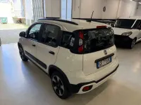 Usata Fiat Panda Cross Cross 71 CV (52 kW) 2021 Bianco Utilitaria