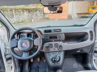 Usata Fiat Panda 4x4 75 CV (55 kW) 2015 Bianco Utilitaria
