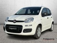 Usata Fiat Panda Lounge 69 CV (50 kW) 2015 Bianco Utilitaria