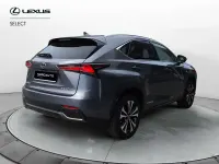 Usata Lexus NX300h Sport Line 197 CV (144 kW) 2019 Grigio SUV