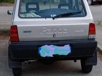 Usata Fiat Panda 4x4 Trekking 54 CV (39 kW) 2001 Grigio Utilitaria